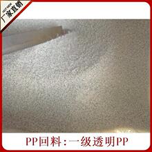 其他纸浆